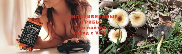 герыч Белокуриха