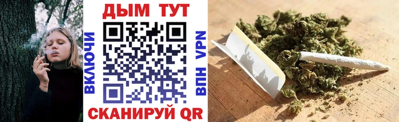 Шишки марихуана THC 21%  Макаров 